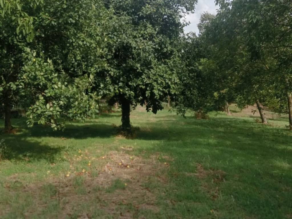 Terreno a Montemiletto in Contrada Zanfreda - Foto 3