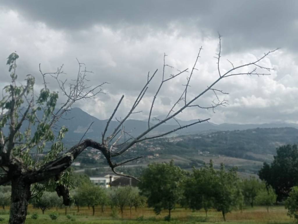 Terreno a Montemiletto in Contrada Zanfreda - Foto 5