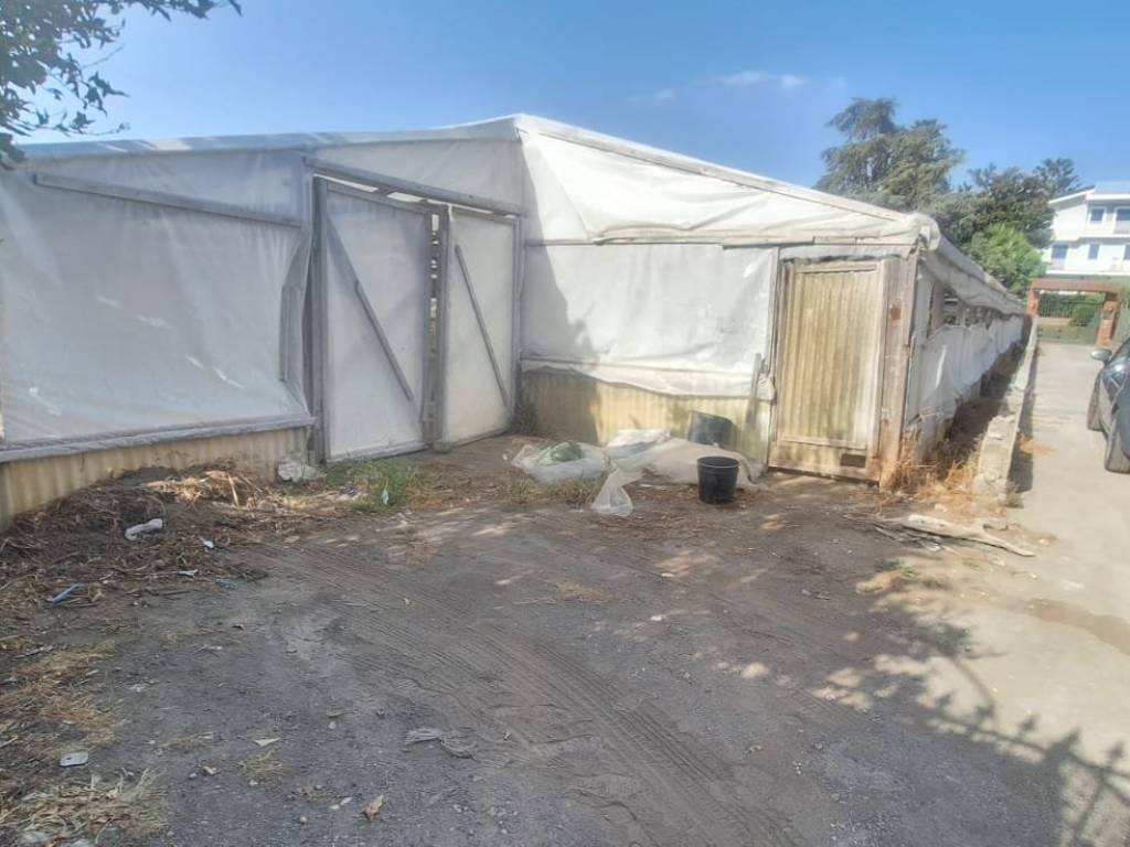 Terreno a Santa maria la carità in Via Pioppelle - Foto 5