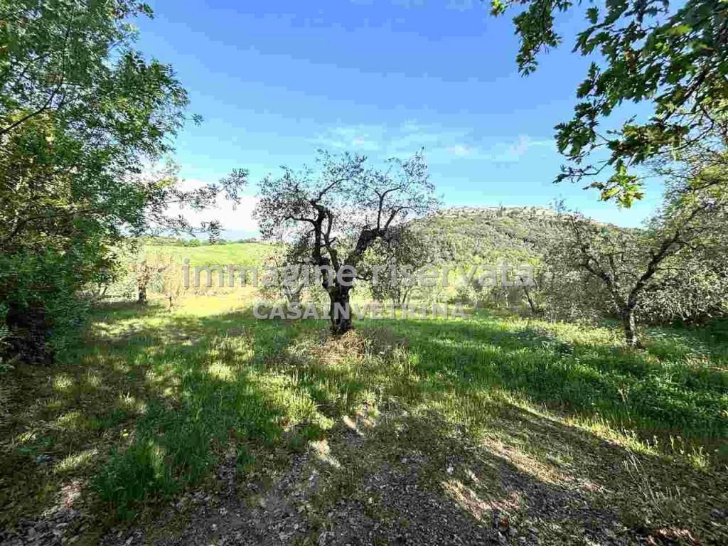 Immobile a Campagnatico in Località Bugnello , - Foto 2