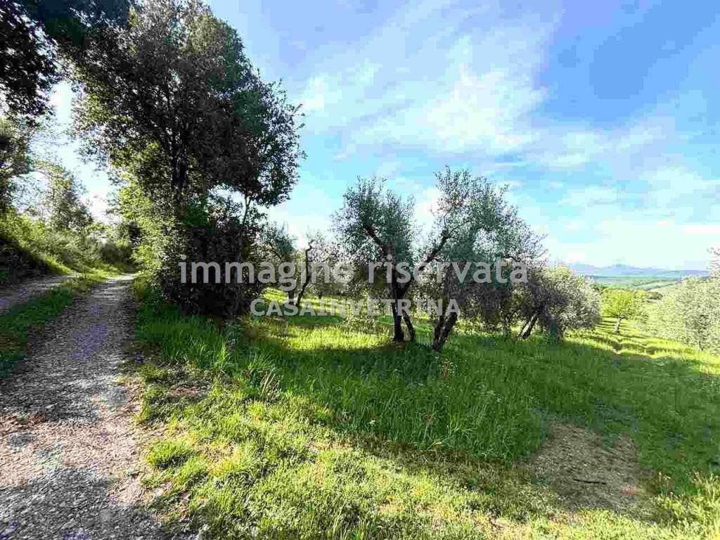 Immobile a Campagnatico in Località Bugnello , - Foto 3