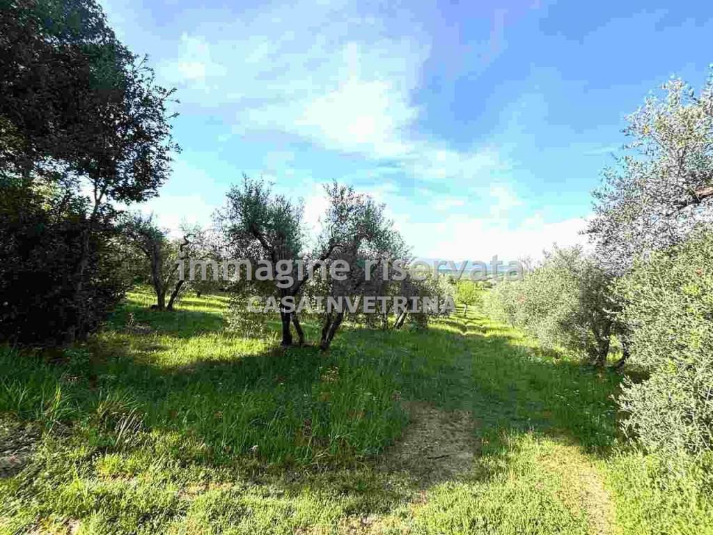 Immobile a Campagnatico in Località Bugnello , - Foto 4