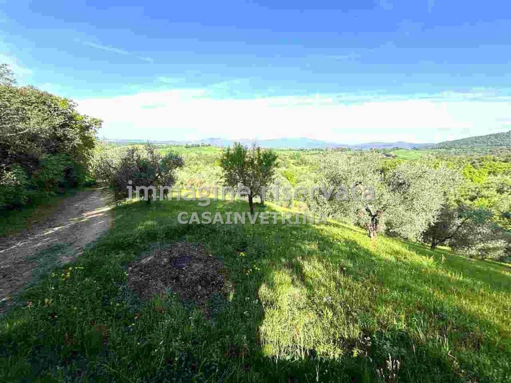 Immobile a Campagnatico in Località Bugnello , - Foto 5