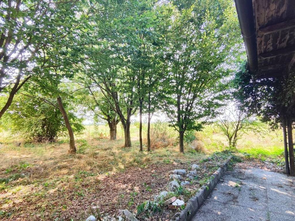 Villetta a schiera a San pietro in cerro in Via Caorsana polignano, 45 - Foto 2