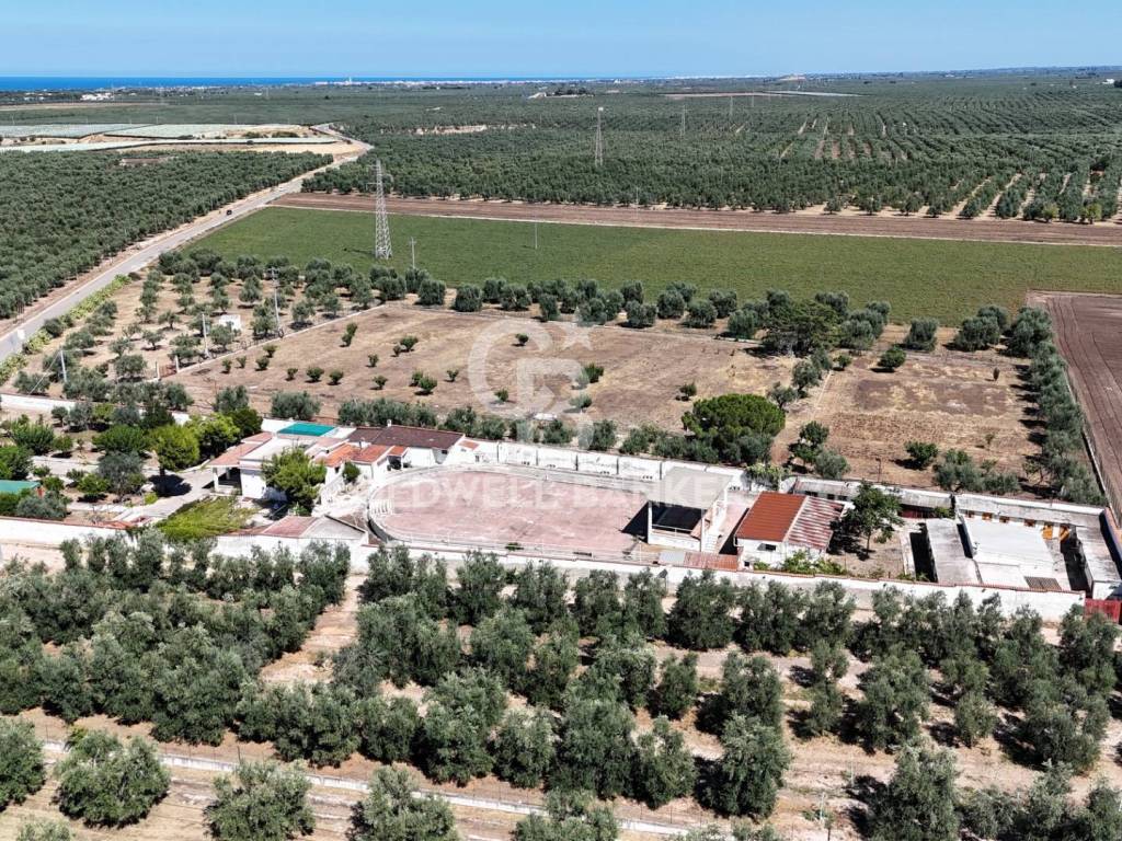 Villa a Trani in Strada Vicinale Prima Santa Lucia - Foto 3