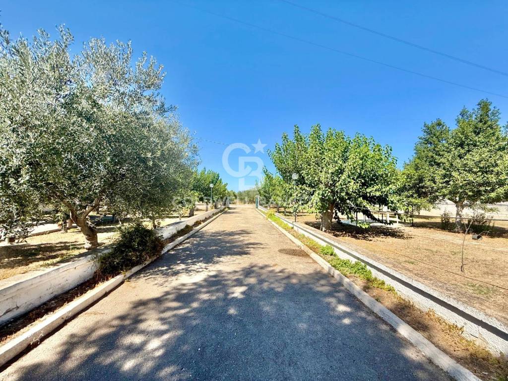 Villa a Trani in Strada Vicinale Prima Santa Lucia - Foto 5