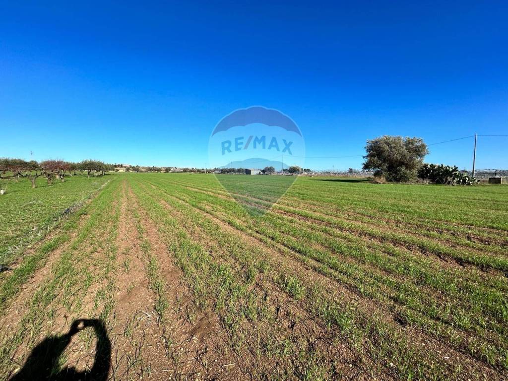 Terreno a Noto in Burgio - Foto 5