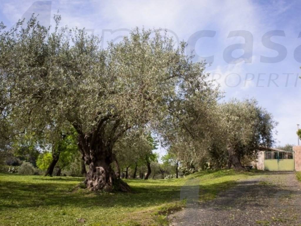 Rustico / casale a Noto - Foto 2