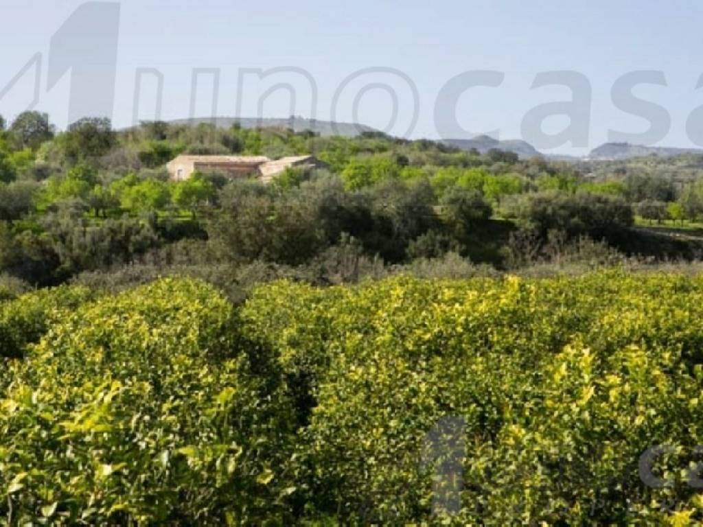 Rustico / casale a Noto - Foto 5
