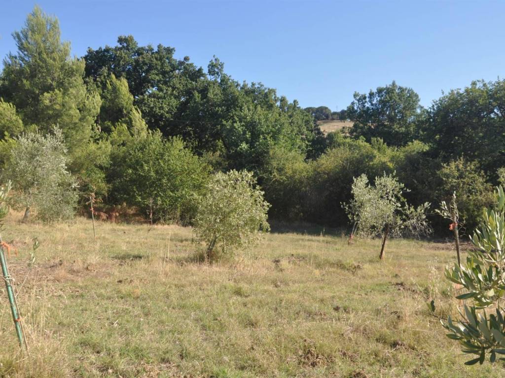 Rustico / casale a Castellina marittima in Via dei Giardini - Foto 2