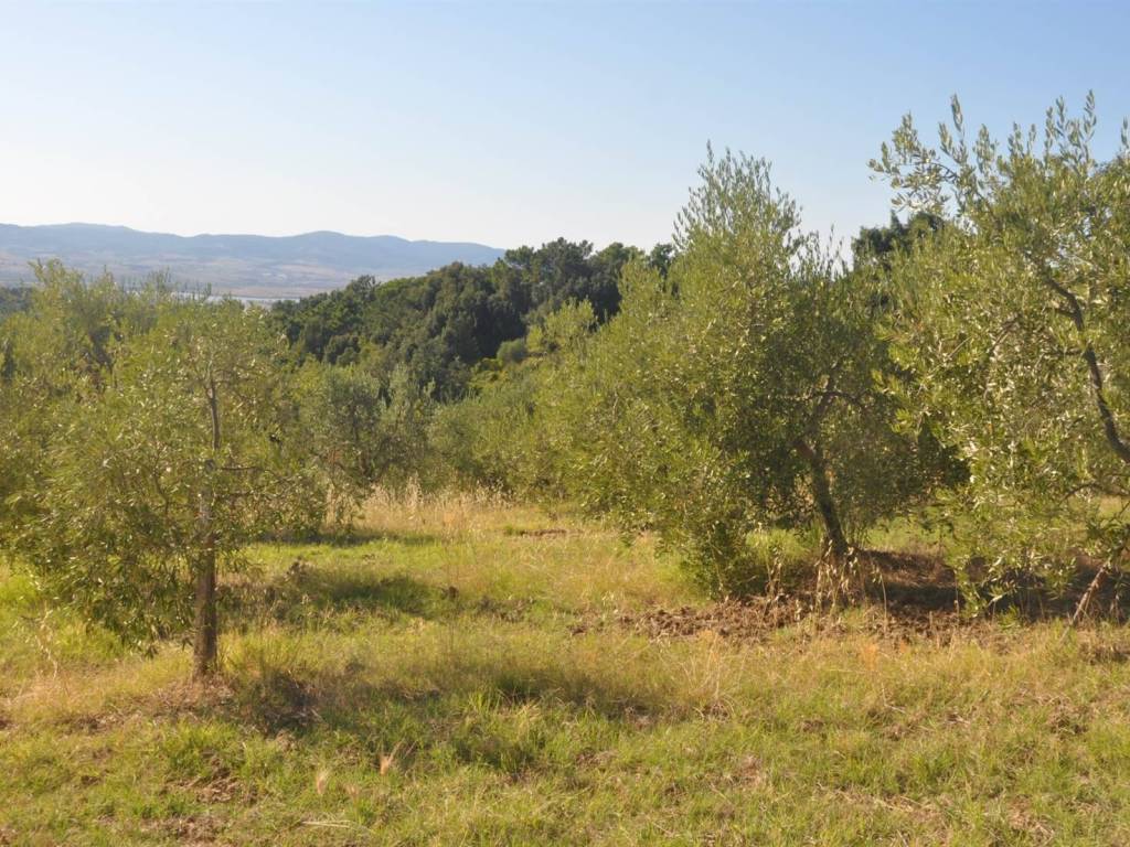 Rustico / casale a Castellina marittima in Via dei Giardini - Foto 3