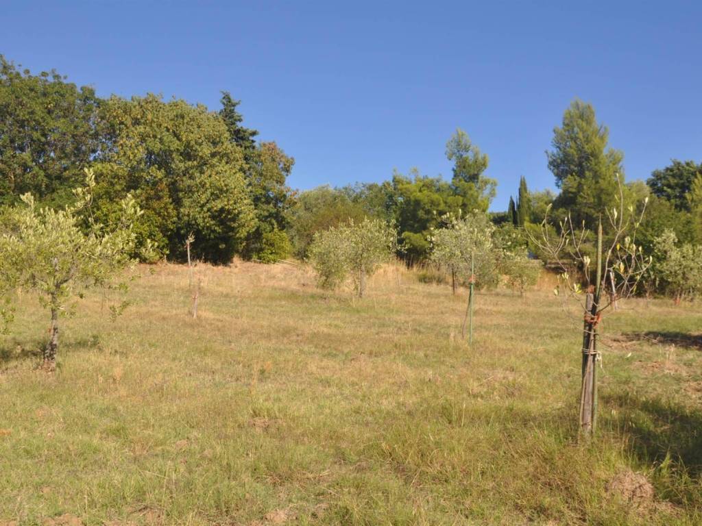 Rustico / casale a Castellina marittima in Via dei Giardini - Foto 5