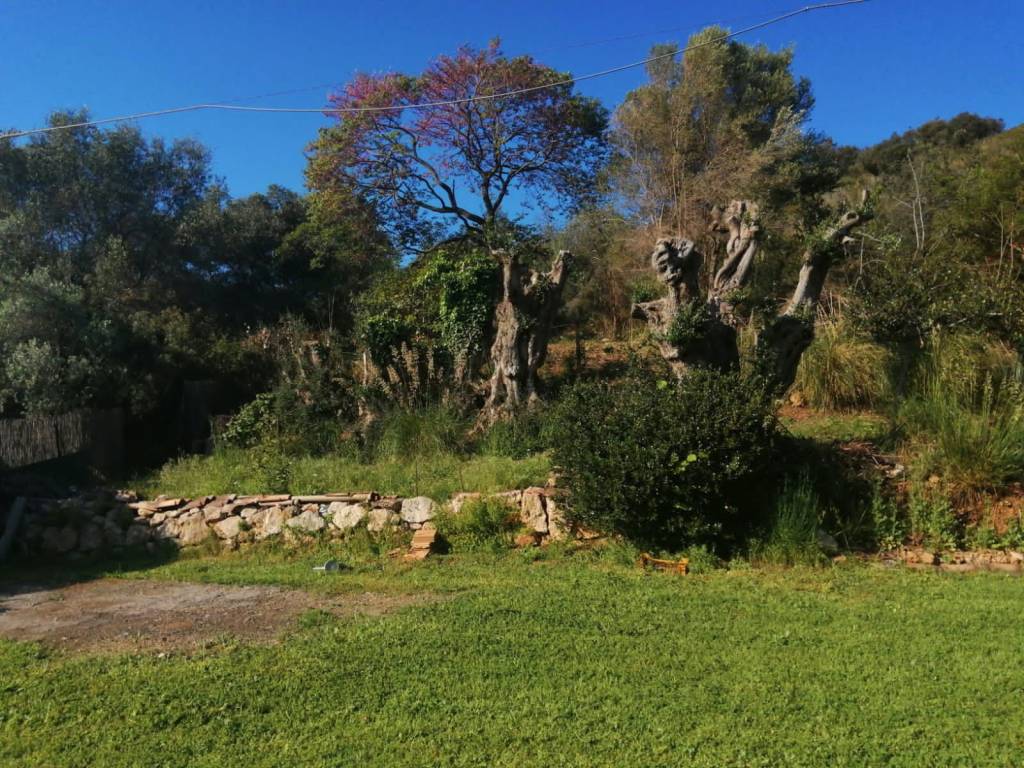 Rustico / casale a Orbetello - Foto 3