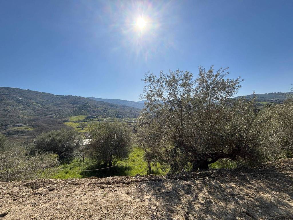 Villa a Laureana cilento in Contrada di Laureana Cilento - Foto 5