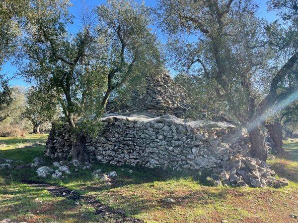 Rustico / casale a Martina franca in Strada Cuoco Zona 1 - Foto 3
