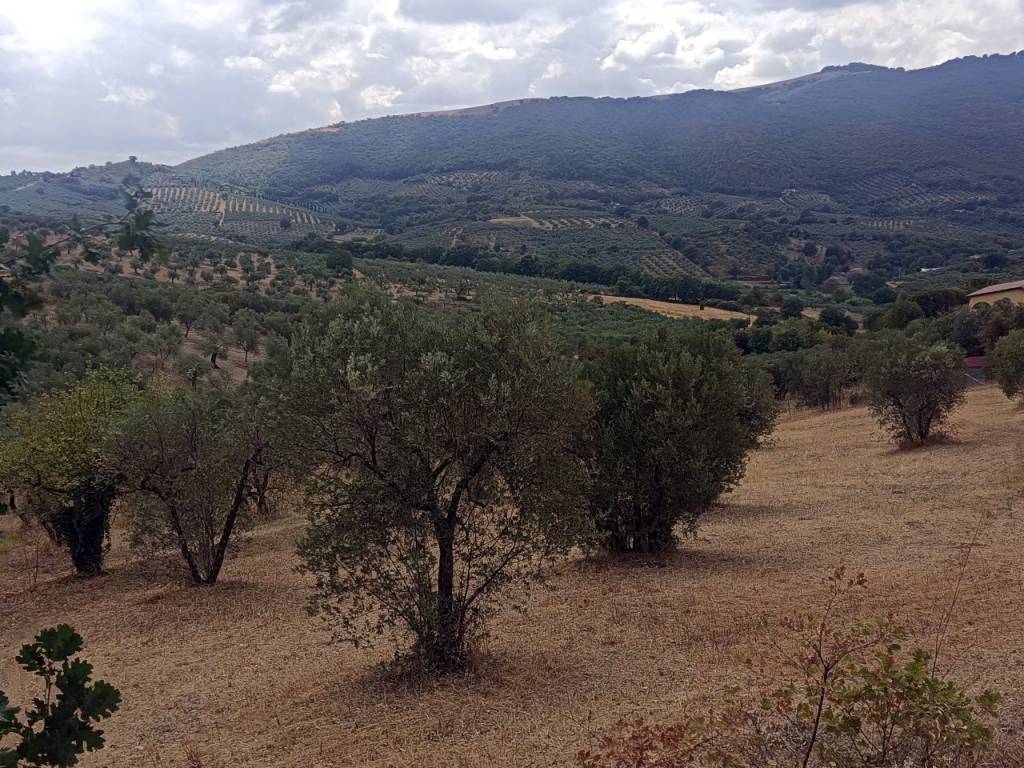 Villa a Poggio nativo - Foto 2