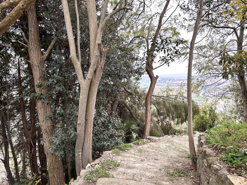 Appartamento a Torano nuovo in case lucini - Foto 4