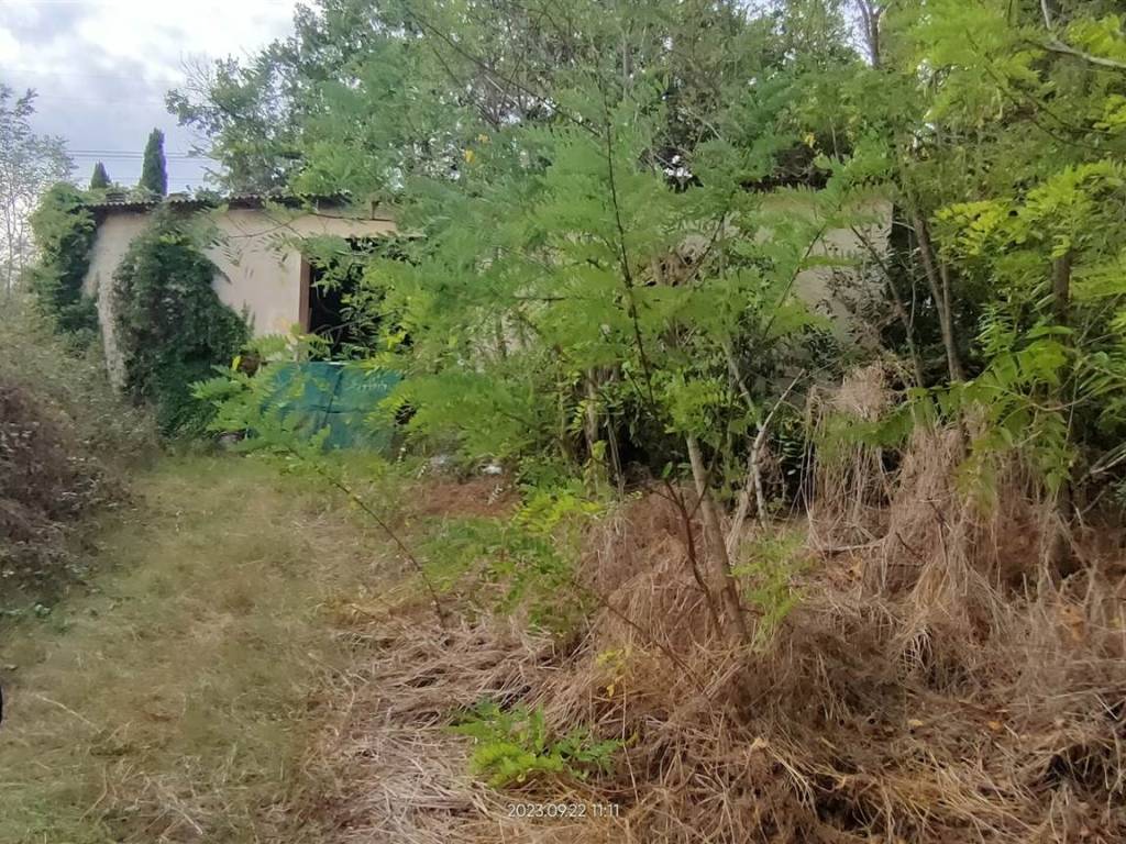 Rustico / casale a Poggio a caiano - Foto 4