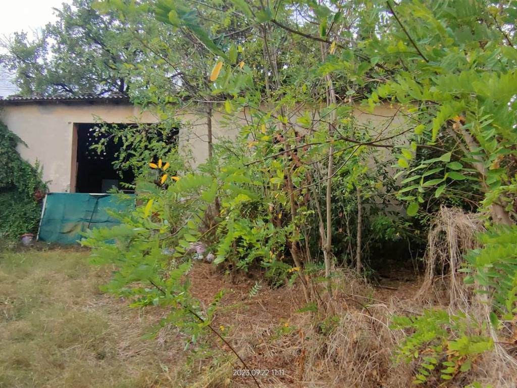 Rustico / casale a Poggio a caiano - Foto 5