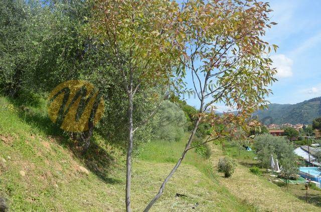 Terreno a Camporosso - Foto 3