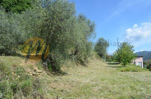 Terreno a Camporosso - Foto 4