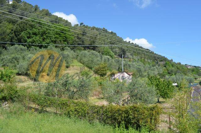 Terreno a Camporosso - Foto 5