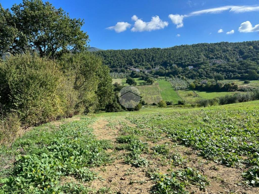 Terreno a Calvi dell'umbria in Vocabolo la corte - Foto 3