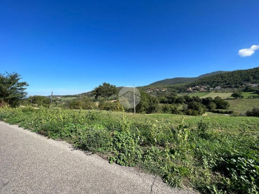 Terreno a Calvi dell'umbria in Vocabolo la corte - Foto 5