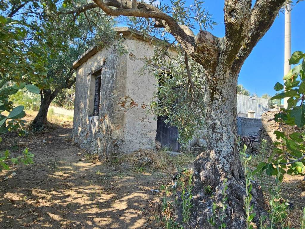 Terreno a Montepaone - Foto 3