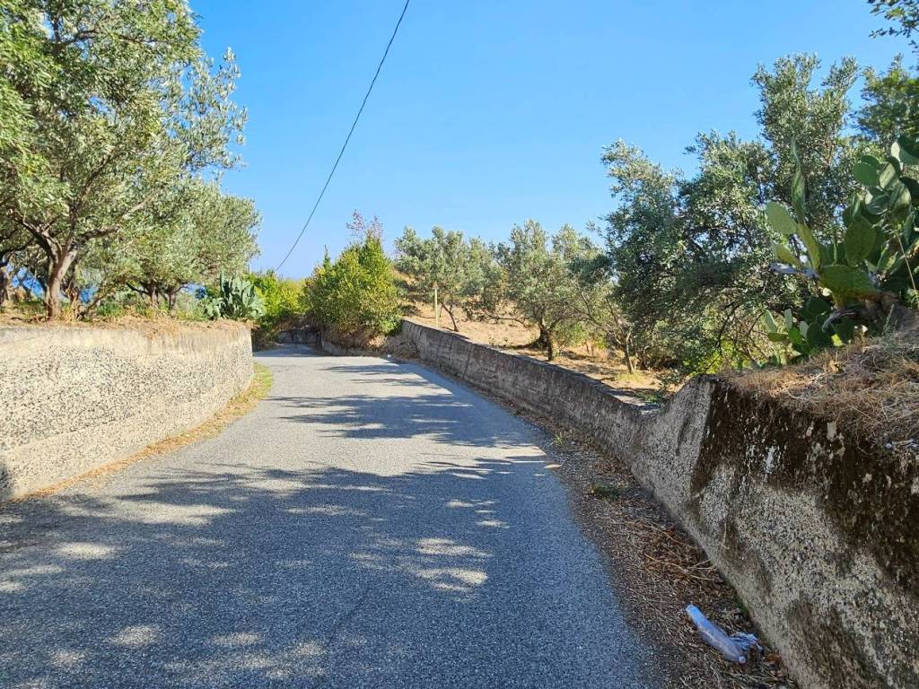 Terreno a Montepaone - Foto 4