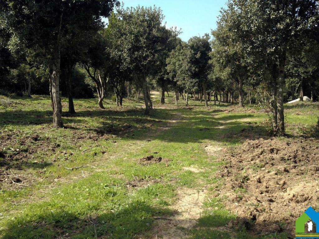 Rustico / casale a Aglientu in Via Nettuno, 49 - Foto 5