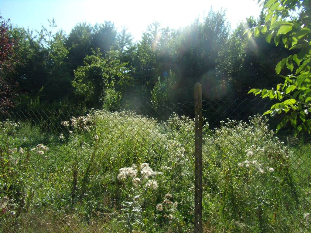 Terreno a Castagnole delle lanze in Via 24 Maggio - Foto 2