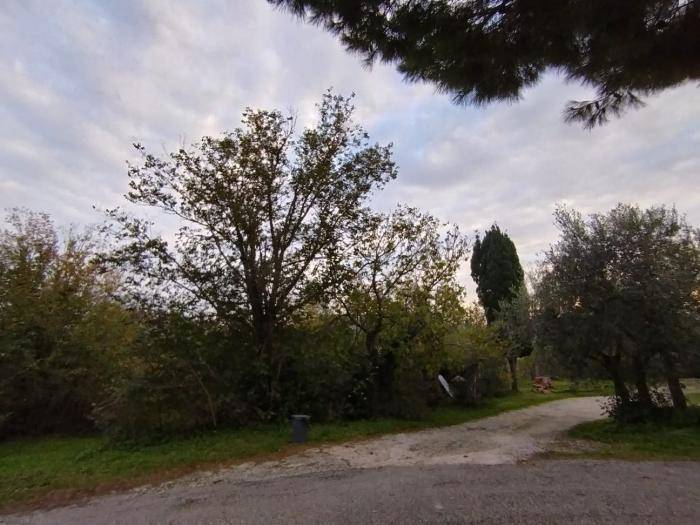 Rustico / casale a Mondolfo in VIA CARESTIA - Foto 4