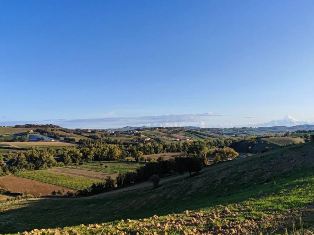 Rustico / casale a Bellante in Via dei Tini - Foto 2