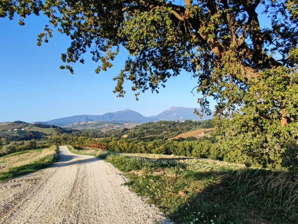 Rustico / casale a Bellante in Via dei Tini - Foto 3