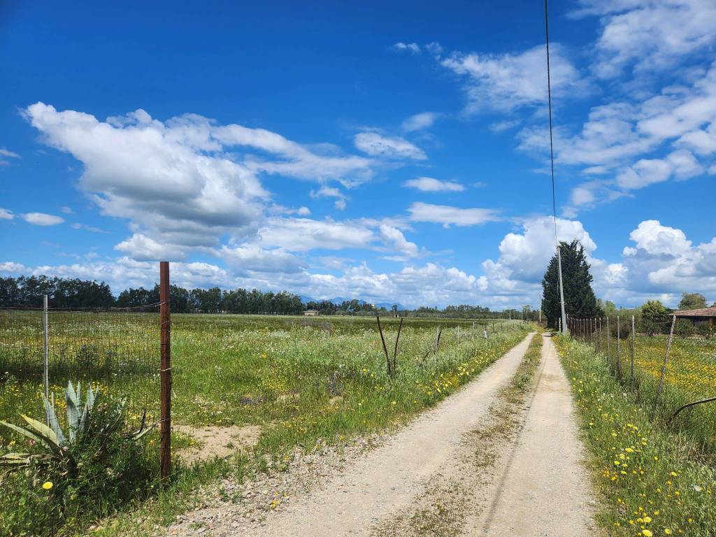 Terreno a Decimomannu - Foto 2