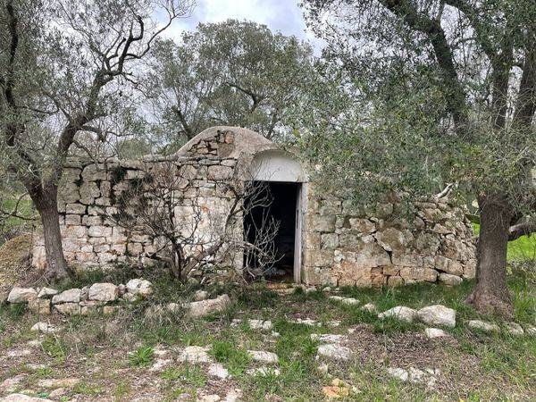 Rustico / casale a Ceglie messapica in contrada barone - Foto 2