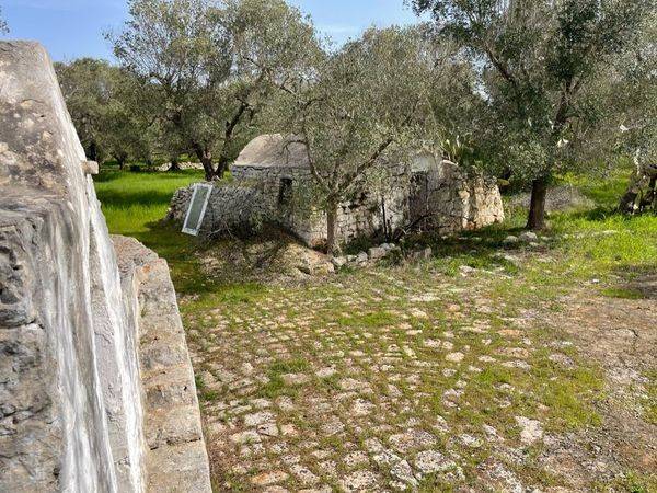 Rustico / casale a Ceglie messapica in contrada barone - Foto 5