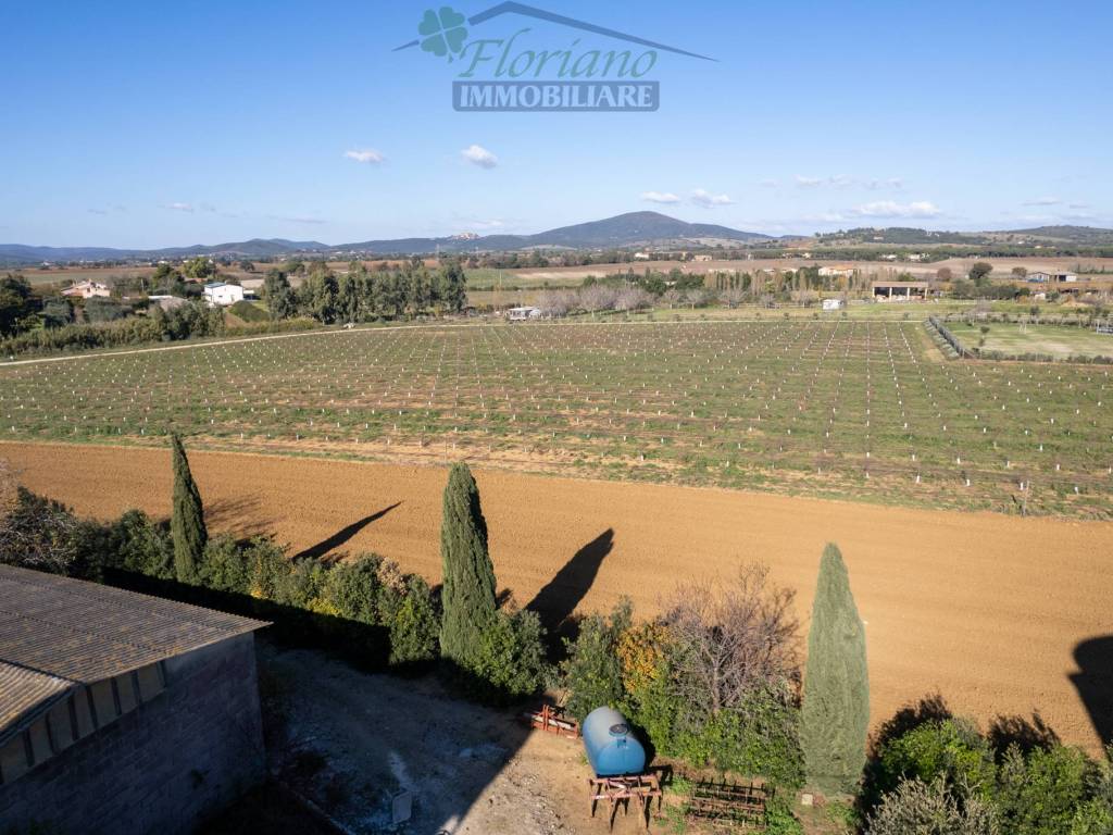 Rustico / casale a Montalto di castro in Località Infernetto - Foto 4