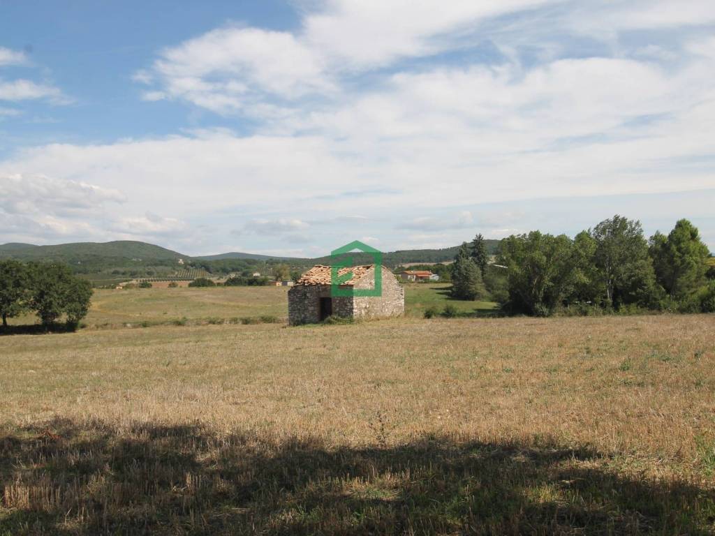 Rustico / casale a Giove in Strada delle Selve - Foto 2