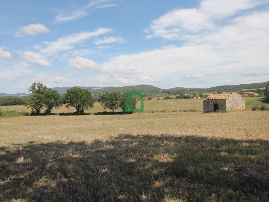 Rustico / casale a Giove in Strada delle Selve - Foto 3