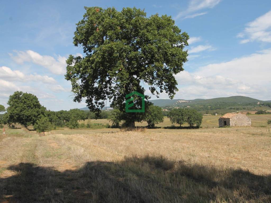 Rustico / casale a Giove in Strada delle Selve - Foto 5