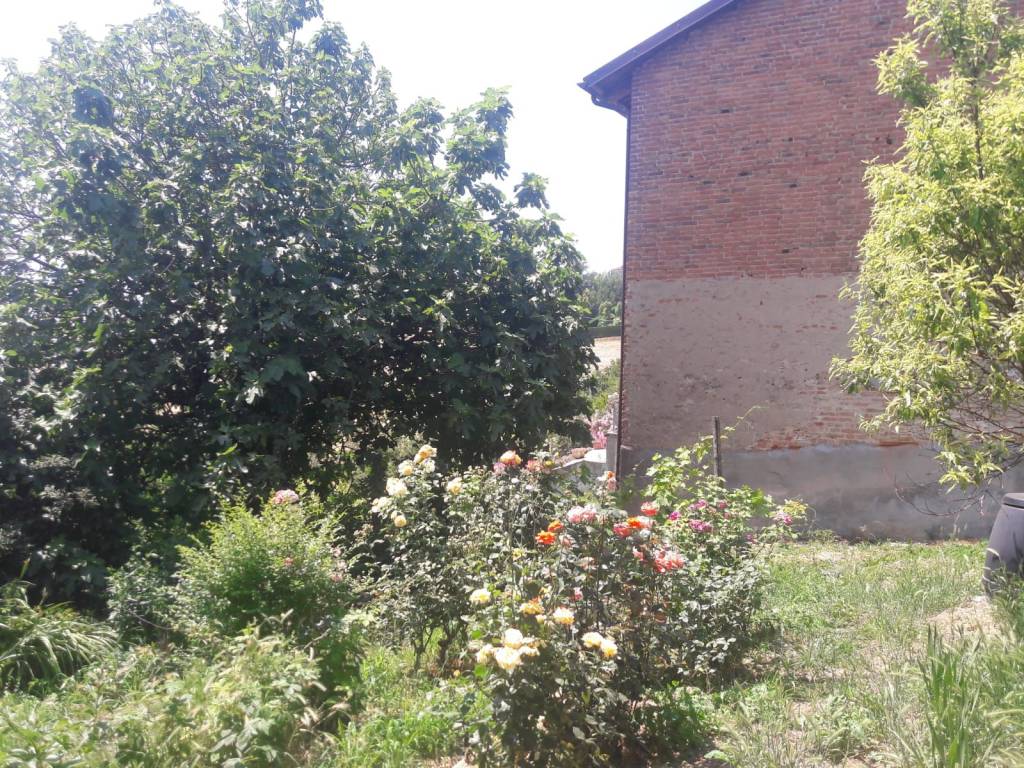 Rustico / casale a Antignano in Via Gonella, 100 - Foto 4