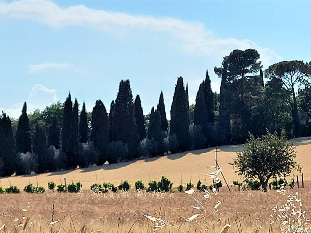 Villa a Jesi - Foto 4