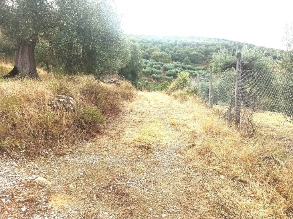 Terreno a Panicale in Via del Lago, 49 - Foto 4