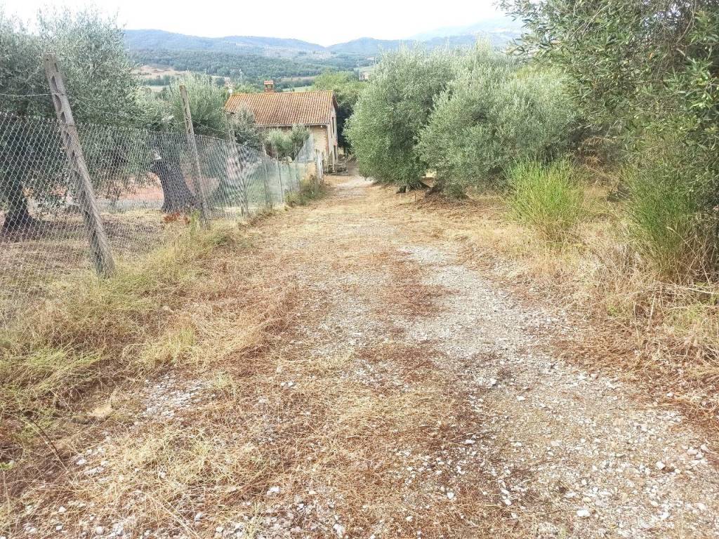 Terreno a Panicale in Via del Lago, 49 - Foto 5