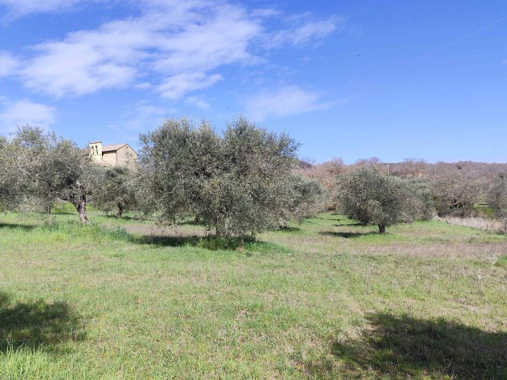 Terreno a Panicale in Via Montali - Foto 3