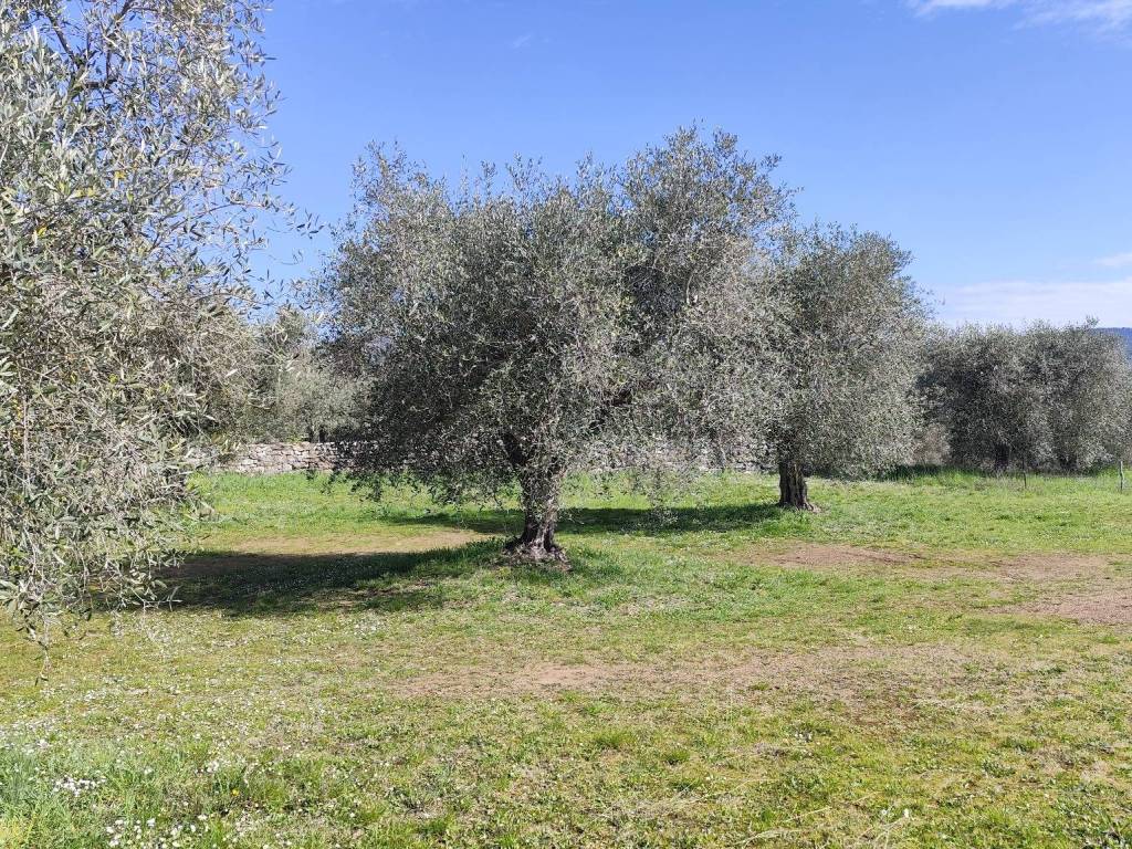 Terreno a Panicale in Via Montali - Foto 4