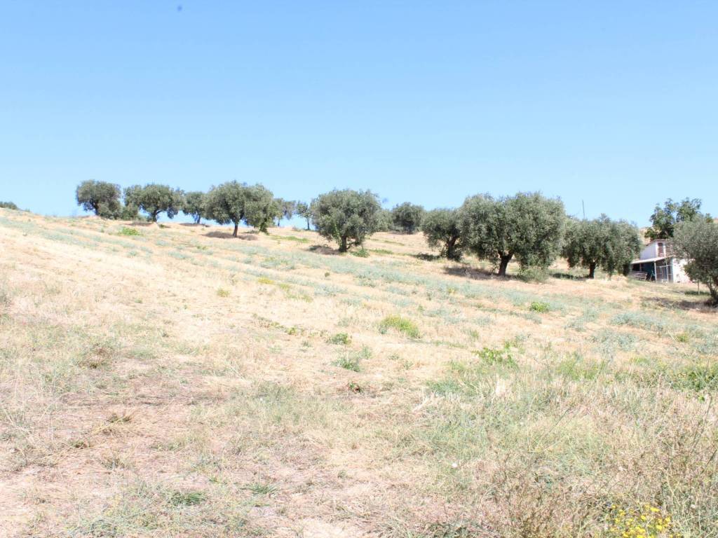 Terreno a Colonnella in SP3 - Foto 3