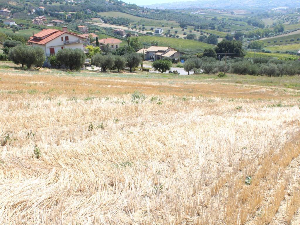 Terreno a Colonnella in SP3 - Foto 5